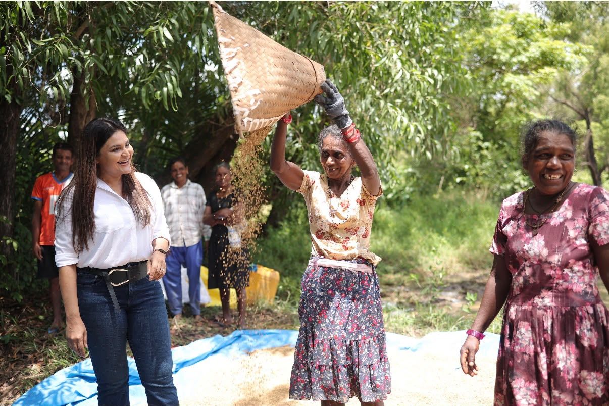 Women winnowing harvested paddy together in a field